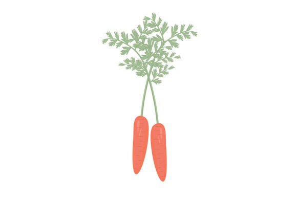 Carrot, Colorful Illustration: A Vibrant Addition to Any Design