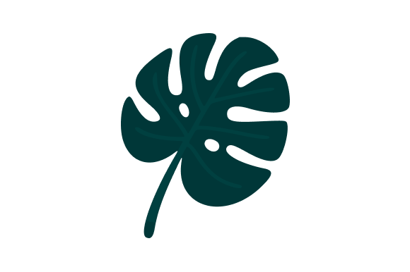 Monstera Leaf Clip Art: A Versatile Design Asset