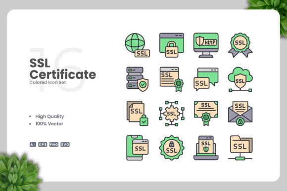 SSL Certificate Colored Icons for Every Project